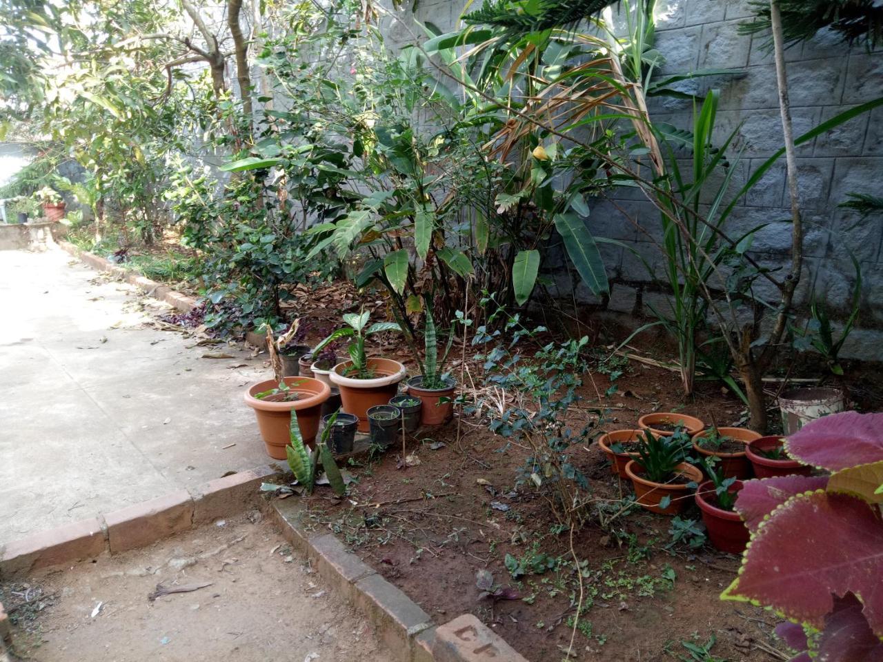 Coorg villas Madikeri Exteriör bild
